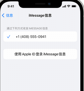 景东apple维修iPhone上无法正常发送iMessage信息 