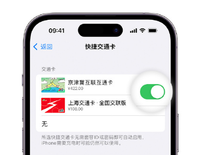 景东apple维修点分享iPhone上更换Apple Pay快捷交通卡手绘卡面 