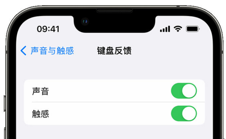 景东苹果手机维修分享iPhone 14触感键盘使用方法 