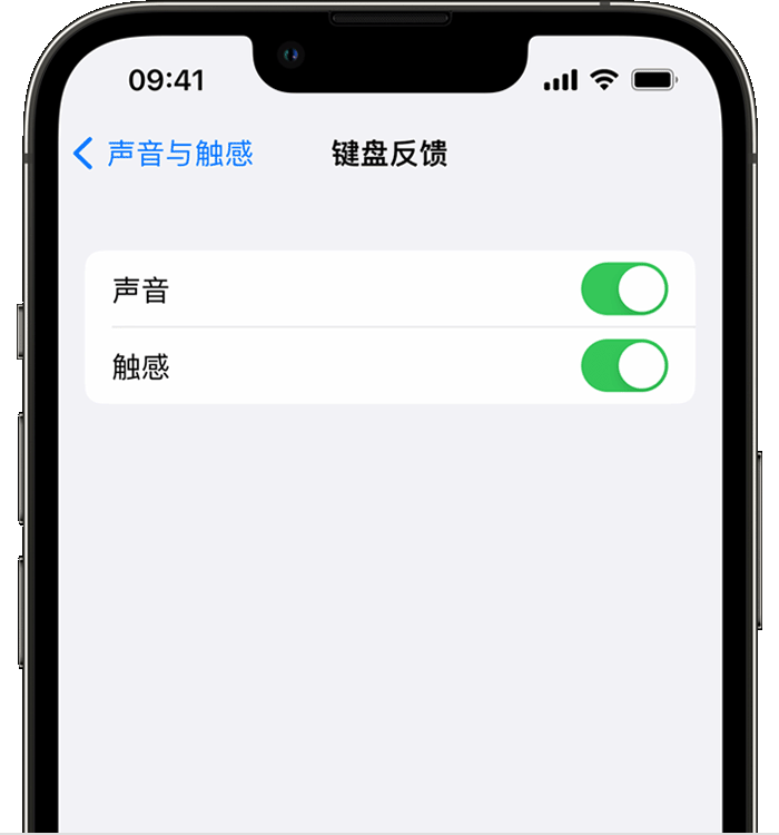 景东苹果14维修店分享如何在 iPhone 14 机型中使用触感键盘 