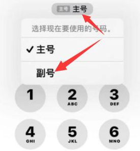 景东苹果14维修店分享iPhone 14 Pro Max使用副卡打电话的方法 