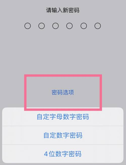 景东苹果14维修分享iPhone 14plus设置密码的方法 