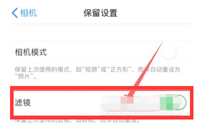 景东苹果13维修分享iPhone13拍照有绿点是怎么回事 